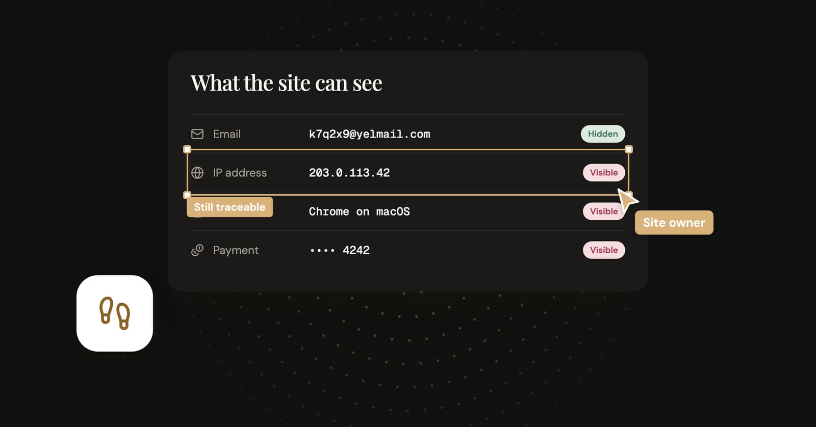 Illustration of what a website can still see behind a temp address: IP address, device and payment